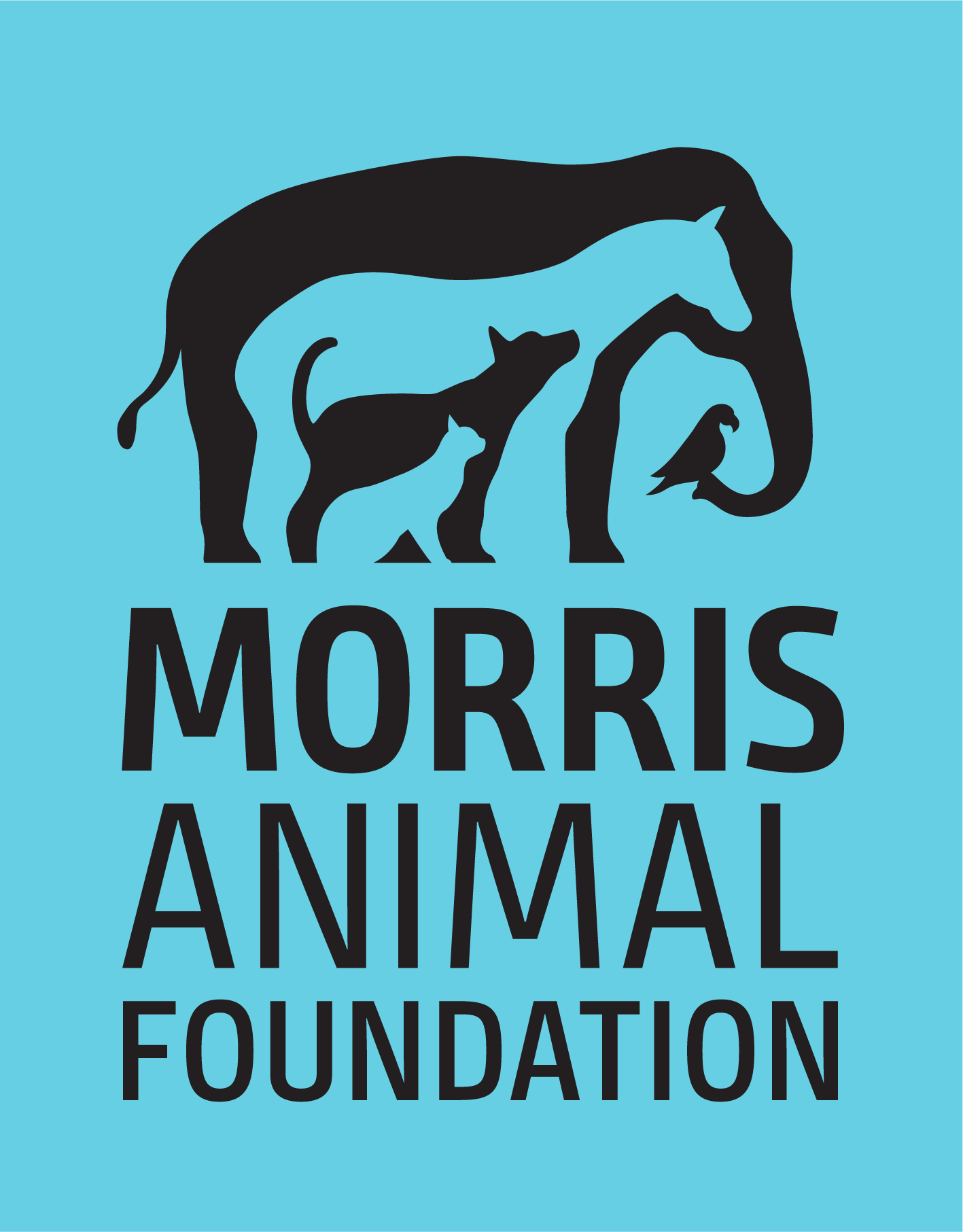 Home Morris Animal Foundation logo light blue