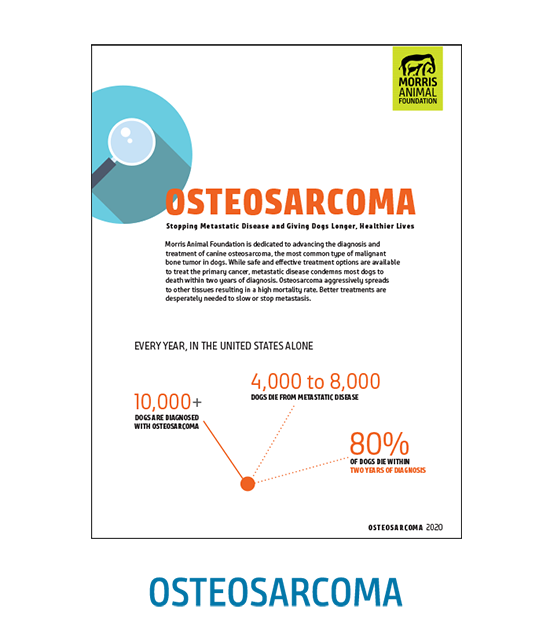 Osteosarcoma White Paper
