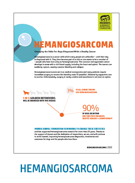 Hemangiosarcoma White Paper