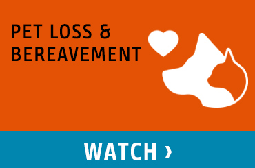 Pet Loss & Bereavement