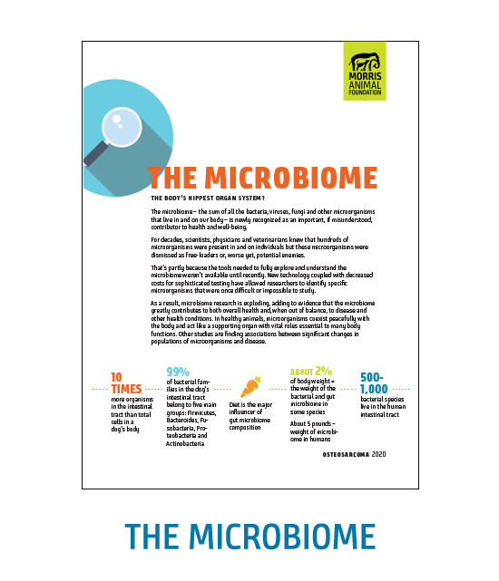 Microbiome White Paper