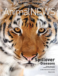 AnimalNEWS 16.4