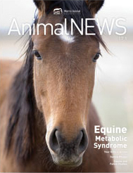 AnimalNEWS 17.1