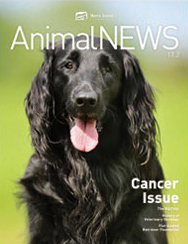 AnimalNEWS 17.2