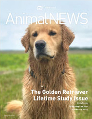 AnimalNEWS 17.3