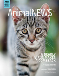 AnimalNEWS 19.1