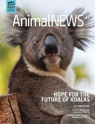 AnimalNEWS 19.4