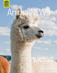 AnimalNEWS 20.1