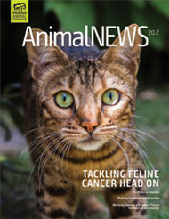 AnimalNEWS 20.2