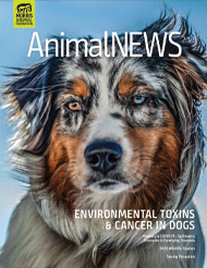 AnimalNEWS 20.3