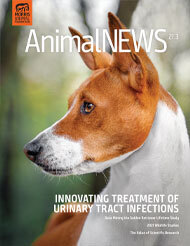 AnimalNEWS 21.3