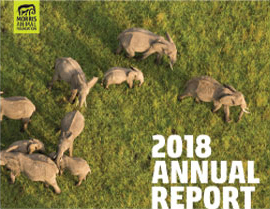 2018 Annual Report