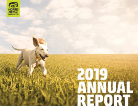 2019 Annual Report