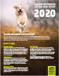 2020 Report: Golden Retriever Lifetime Study