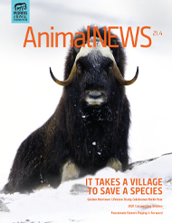 AnimalNEWS 21.4