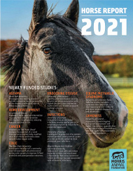 2021 Report: Horse