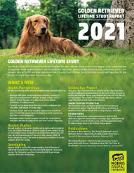 2021 Report: Golden Retriever Lifetime Study