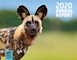 2020 Annual Report