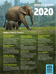 2020 Report: Wildlife