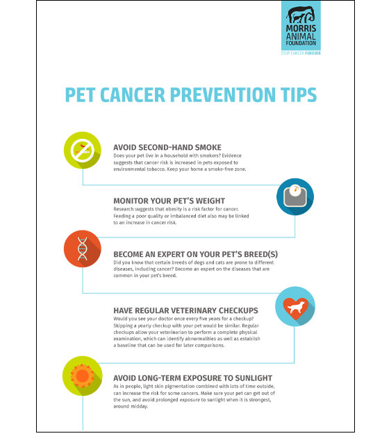 Pet Cancer Prevention Checklist