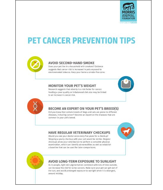 Pet Cancer Prevention Checklist