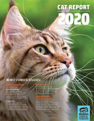 2020 Report: Cat