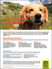 2019 Report: Golden Retriever Lifetime Study