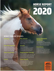2020 Report: Horse