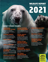 2021 Report: Wildlife