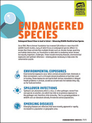 Endangered Species White Paper