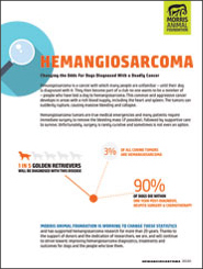 Hemangiosarcoma White Paper