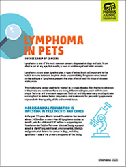 Lymphoma in Pets White Paper