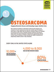 Osteosarcoma White Paper