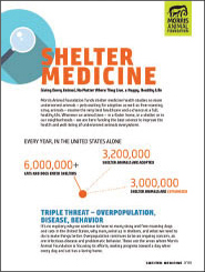 Shelter Medicine White Paper