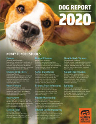 2020 Report: Dog