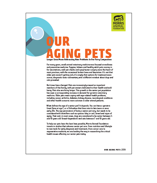 Aging Pets White Paper
