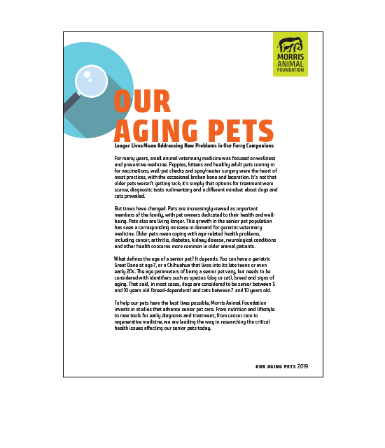 Aging Pets White Paper