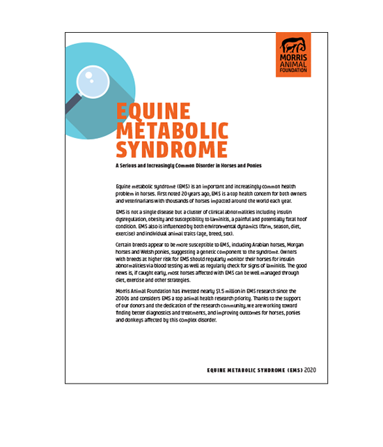 Equine Metabolic Syndrome White Paper