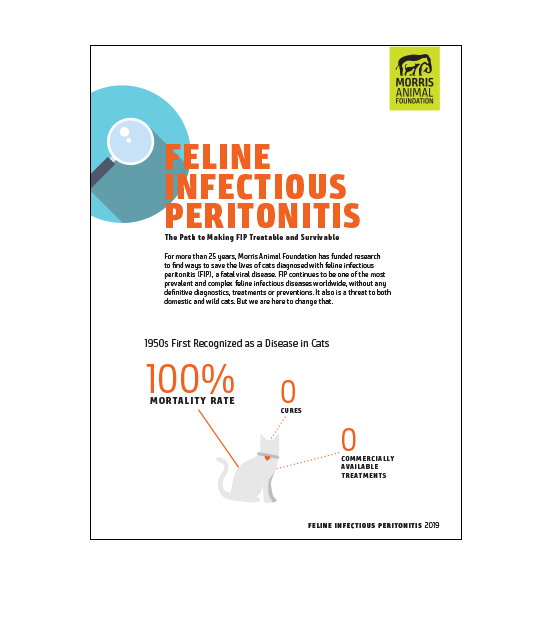Feline Infectious Peritonitis White Paper
