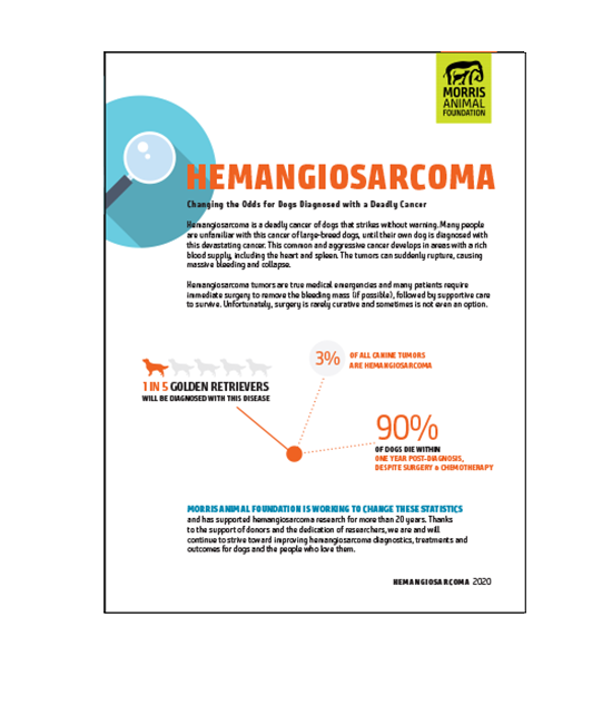 Hemangiosarcoma White Paper