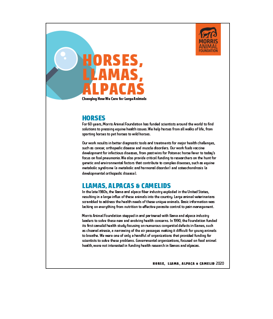 Horses, Llamas & Alpacas White Paper