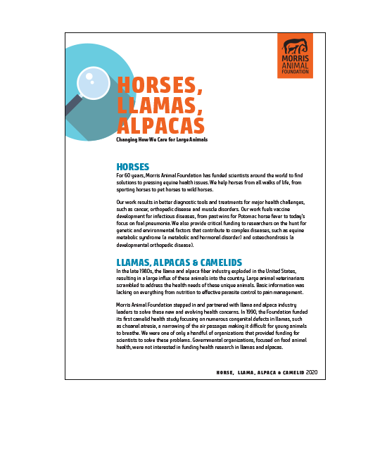 Horses, Llamas & Alpacas White Paper