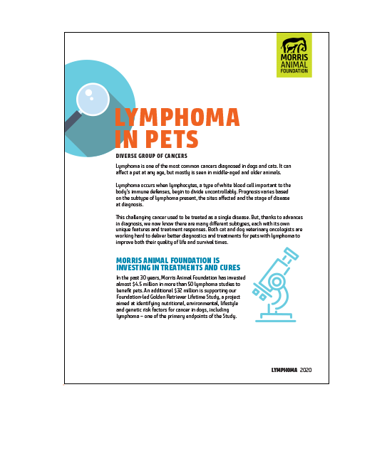 Lymphoma White Paper