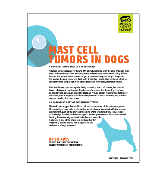 Mast Cell Tumors in Dogs White Paper