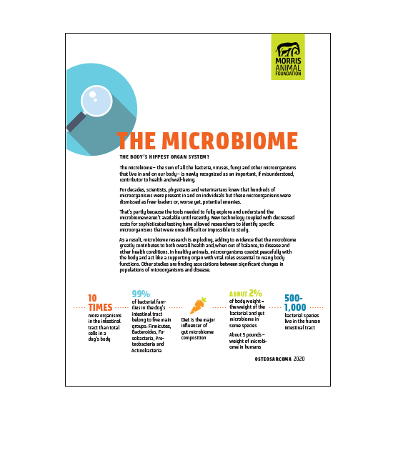 Microbiome White Paper