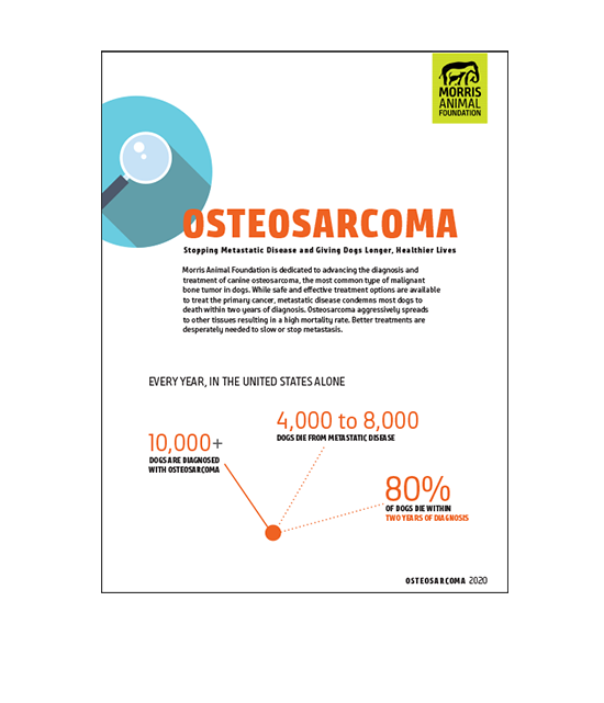 Osteosarcoma White Paper