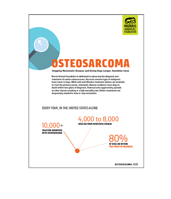 Osteosarcoma White Paper