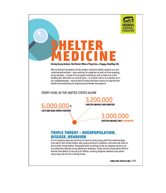 Shelter Medicine White Paper