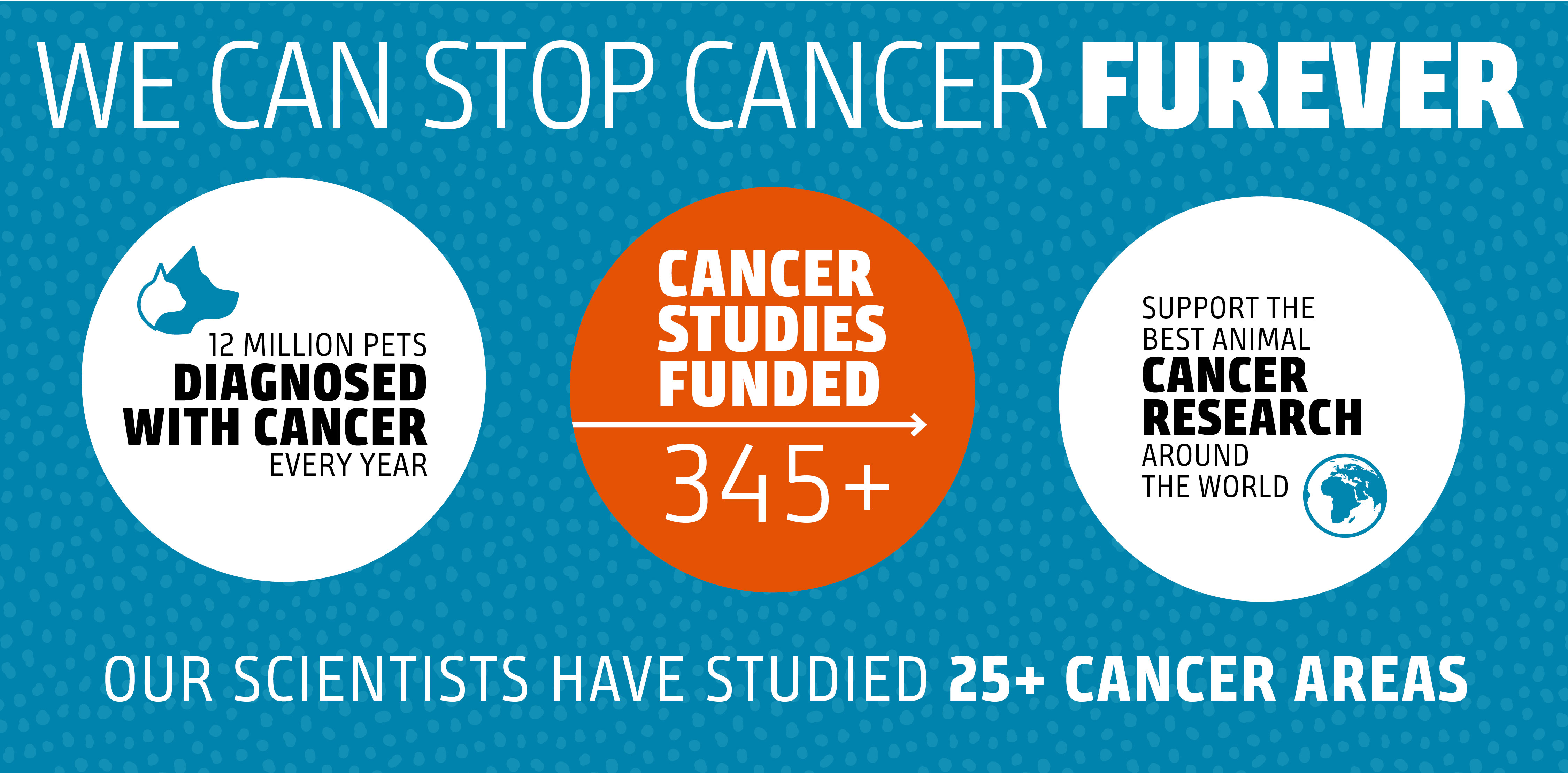 Support the Best Animal Resarch Around the World. We have funded over 345+ cancer studies, but there's still more to do. With your help, we can Stop Cancer Furever!