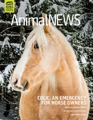 AnimalNEWS 22.1